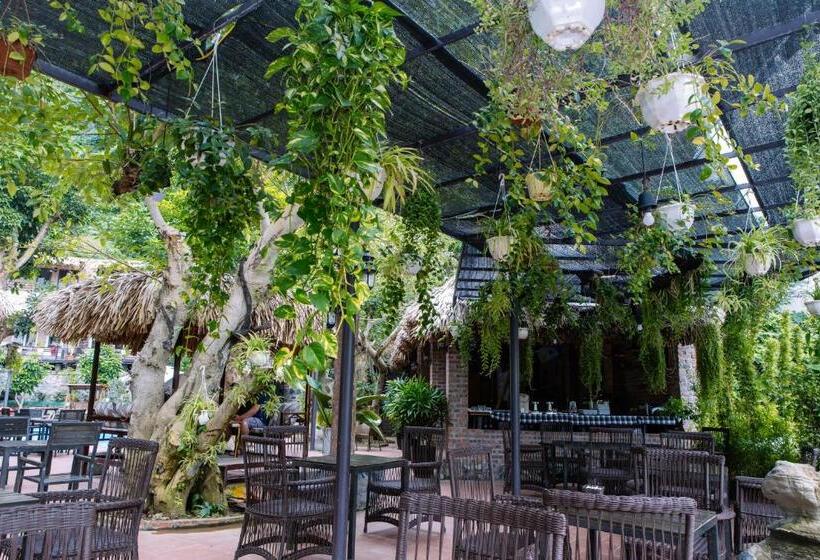 هتل Catba Oasis Bungalows