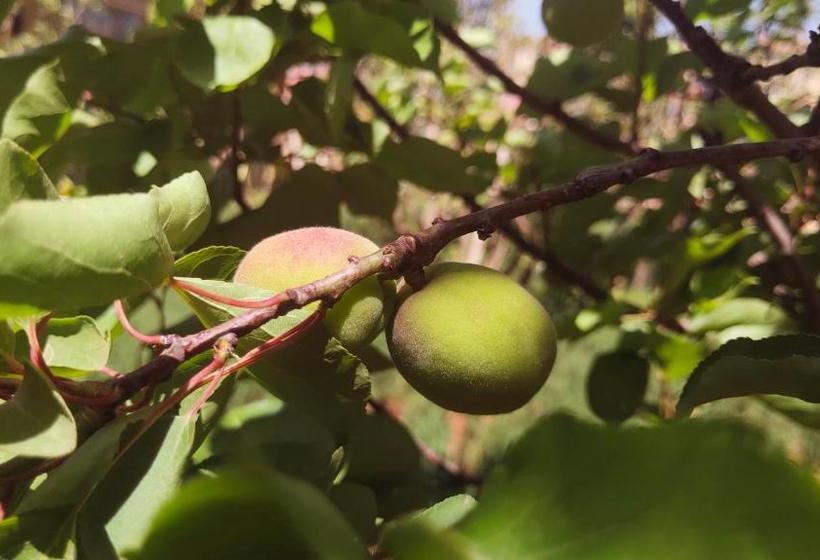 فندق Park Inn Kunming Airport