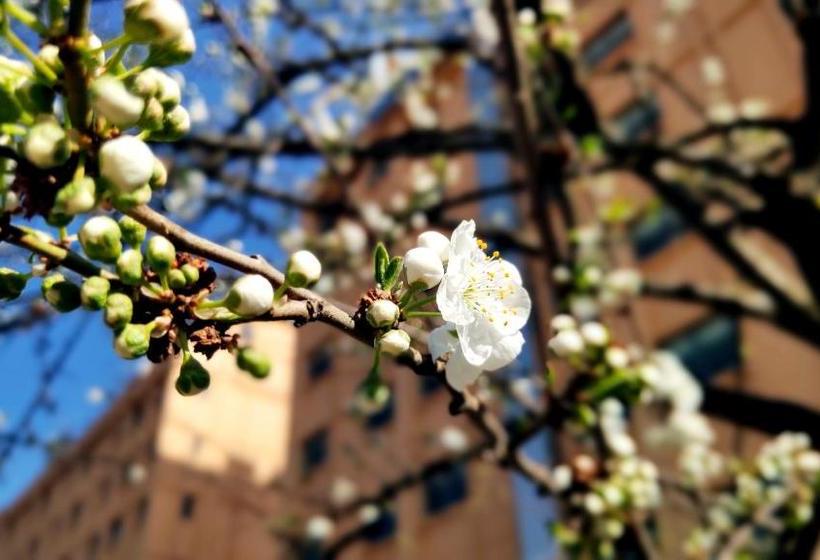 فندق Park Inn Kunming Airport