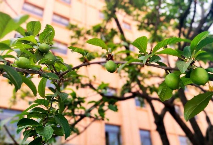 فندق Park Inn Kunming Airport