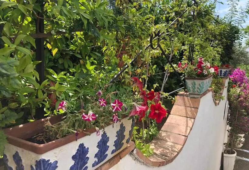 ペンション Casa Sofia