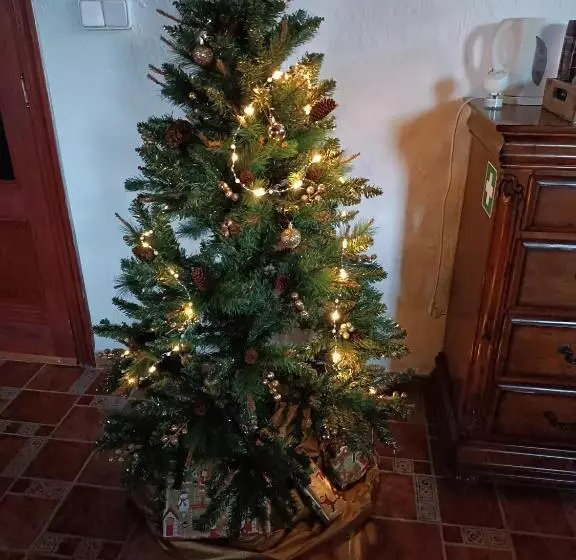 ベッドアンドブレックファースト Sunny Vista