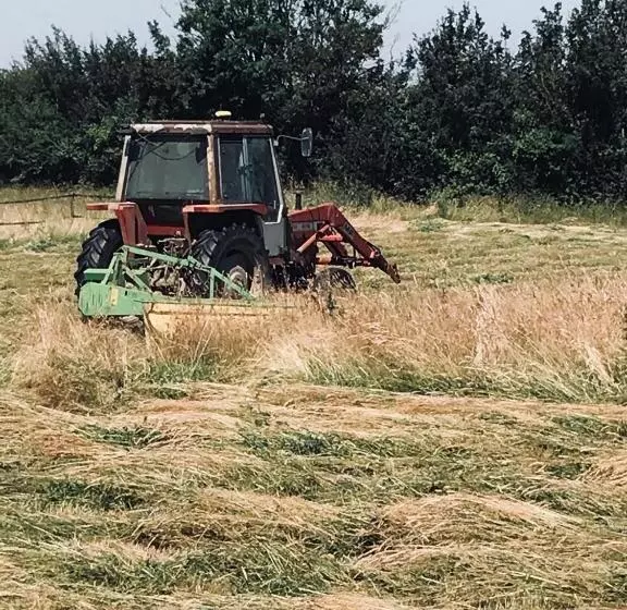 Great Sampford B&b Sorrells Farm