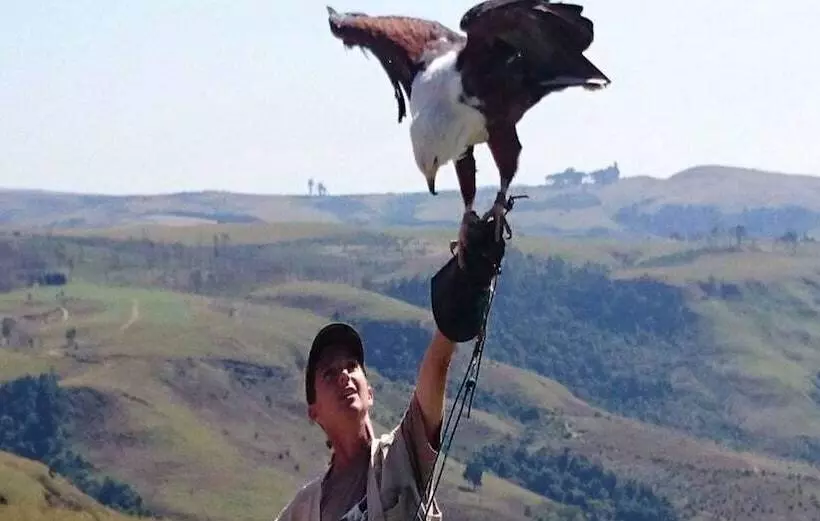 Hotelli Antbear Eco Lodge Drakensberg