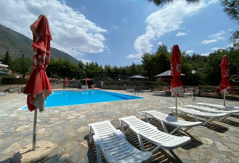 Hôtel Bungalow   Camping Apollon