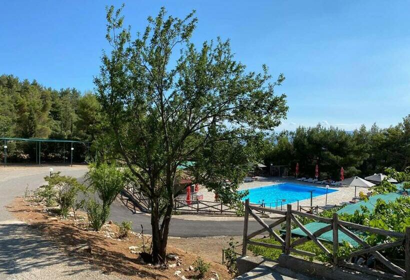 Hôtel Bungalow   Camping Apollon