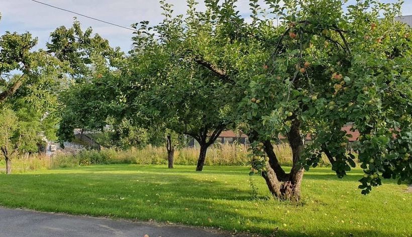 بنسيون Willa Holst