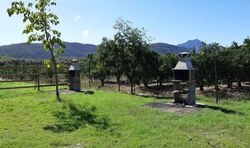 ホテル Camping La Naranja