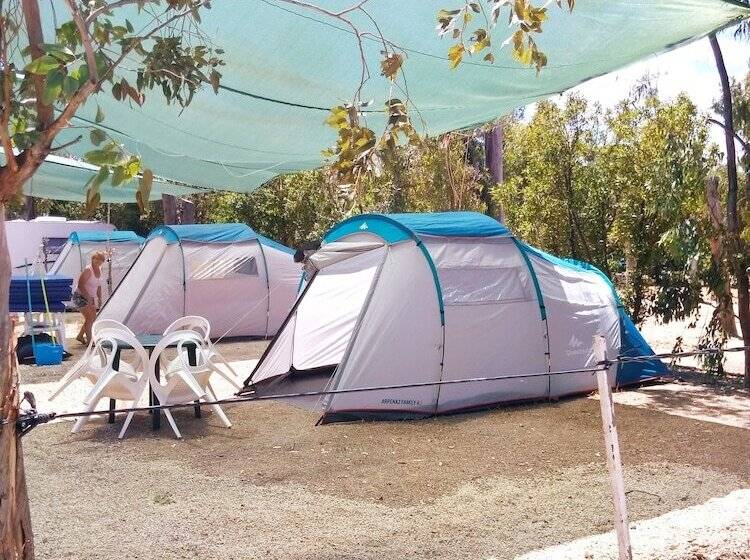 酒店 Camping La Naranja