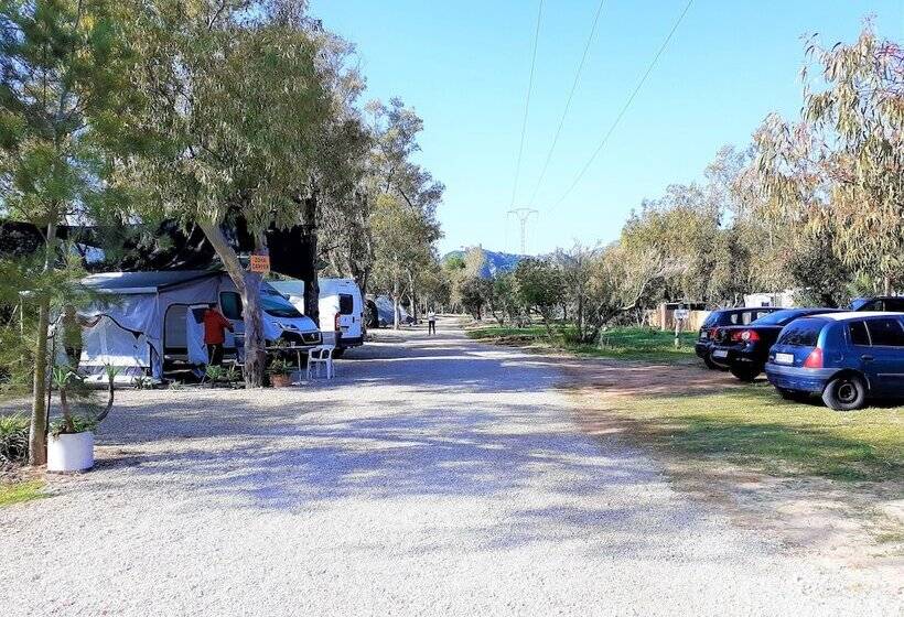 酒店 Camping La Naranja