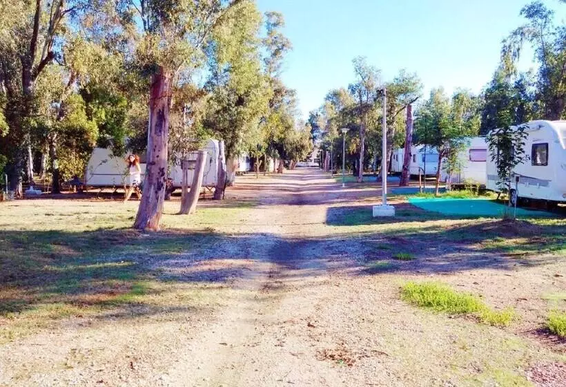 ホテル Camping La Naranja