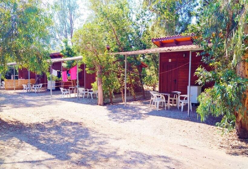 酒店 Camping La Naranja