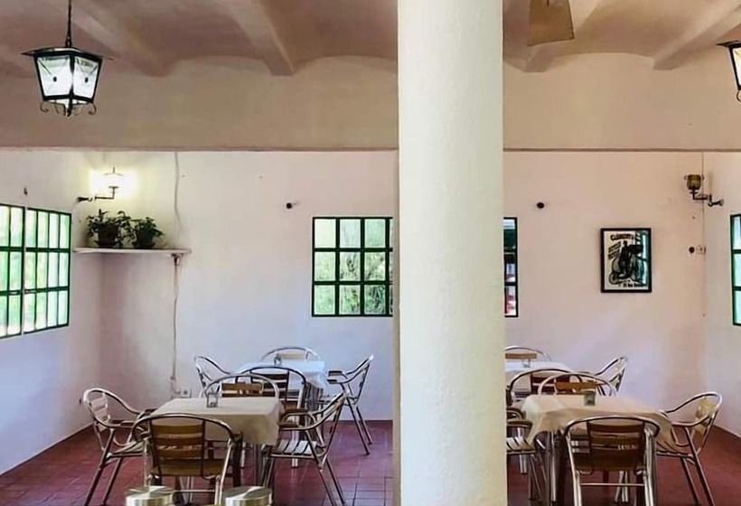 酒店 Camping La Naranja