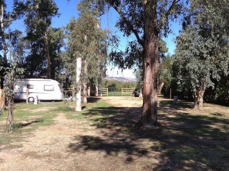 酒店 Camping La Naranja