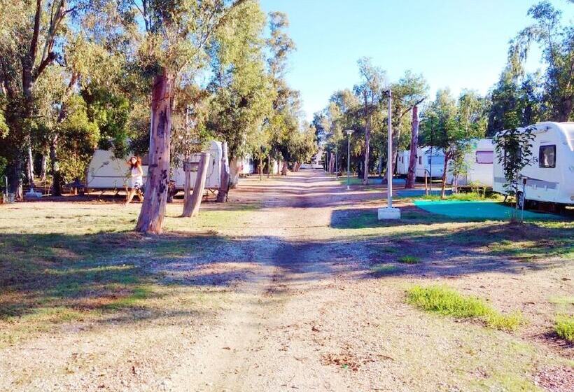 酒店 Camping La Naranja