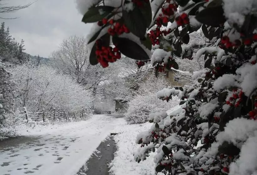 田舎風ホテル Casa Rural Goikola