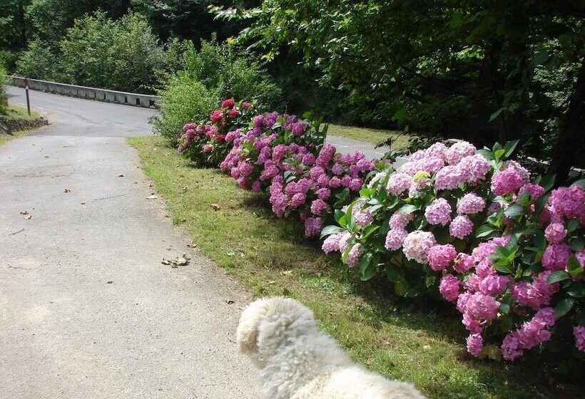田舎風ホテル Casa Rural Goikola