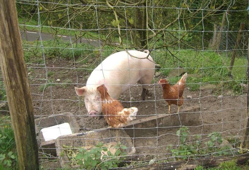 田舎風ホテル Casa Rural Goikola