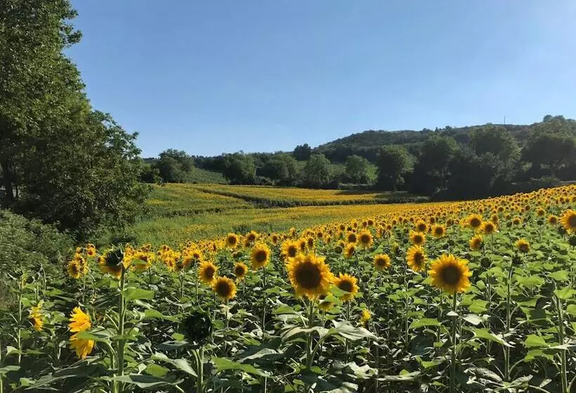 Aamiaismajoitus (B&B) Le Grenier Occitan