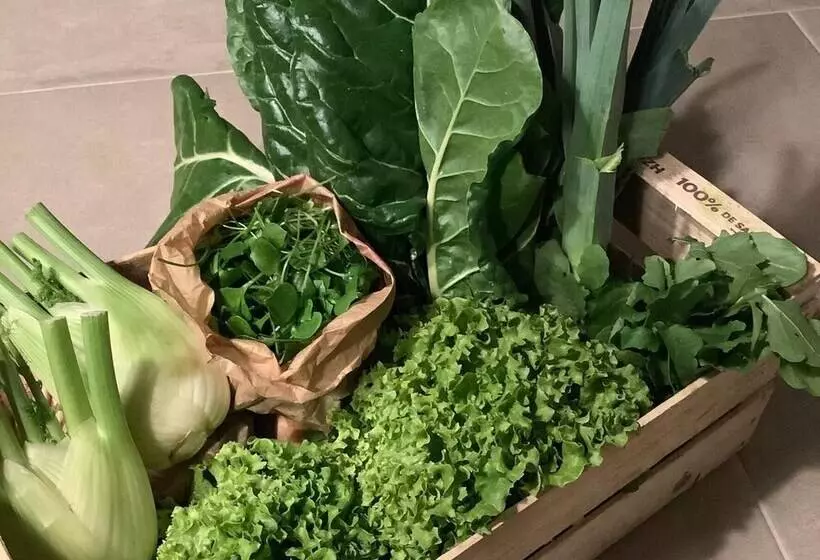 Aamiaismajoitus (B&B) Le Grenier Occitan