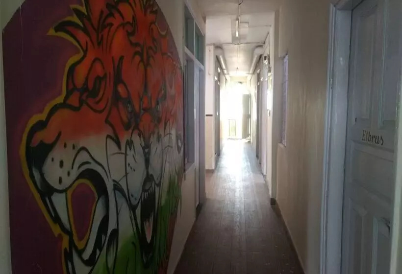 Bunk Hostel Delhi