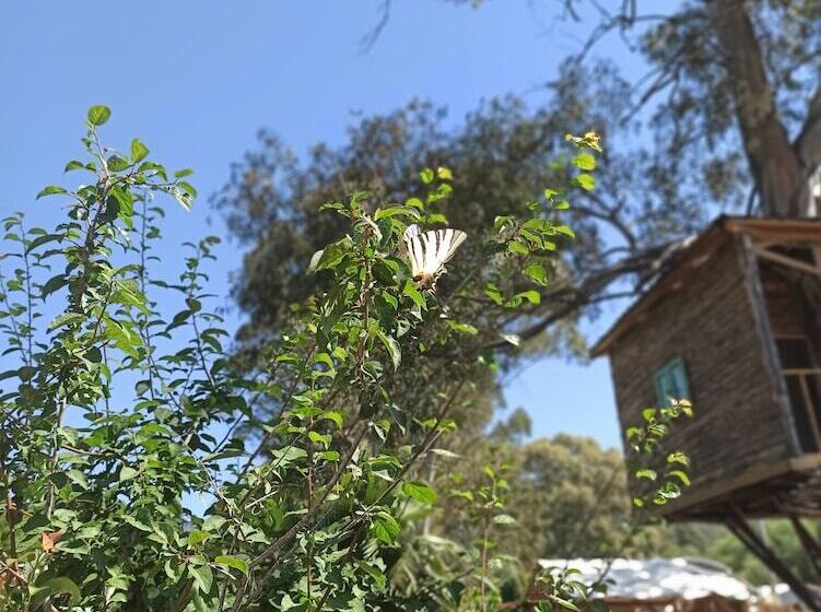 فندق Daidala Life