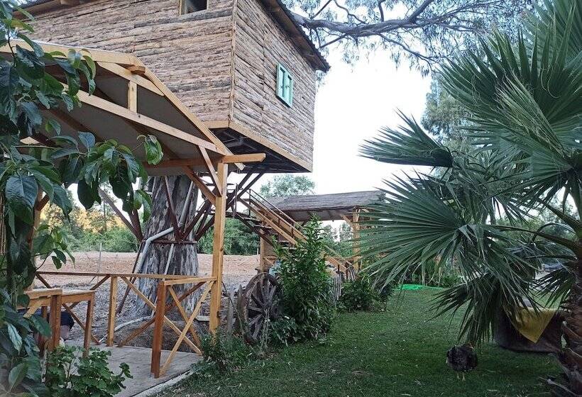 فندق Daidala Life