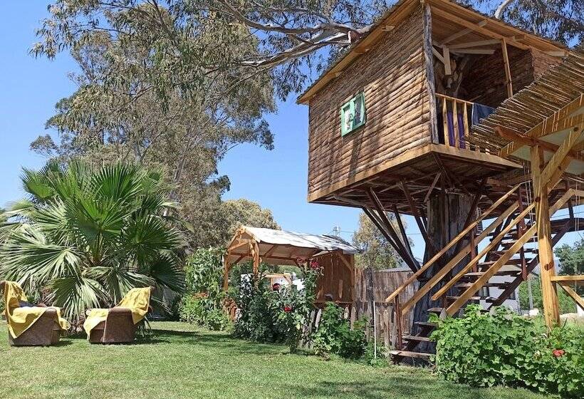 فندق Daidala Life