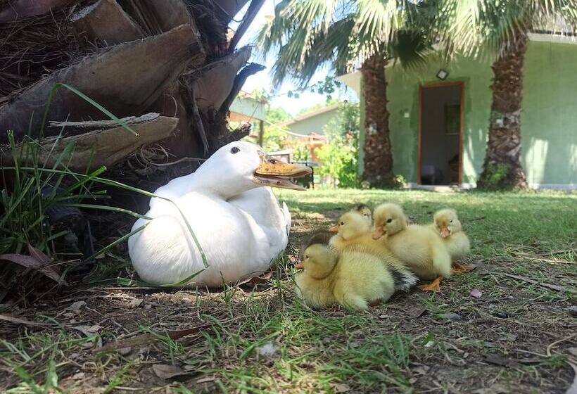 فندق Daidala Life