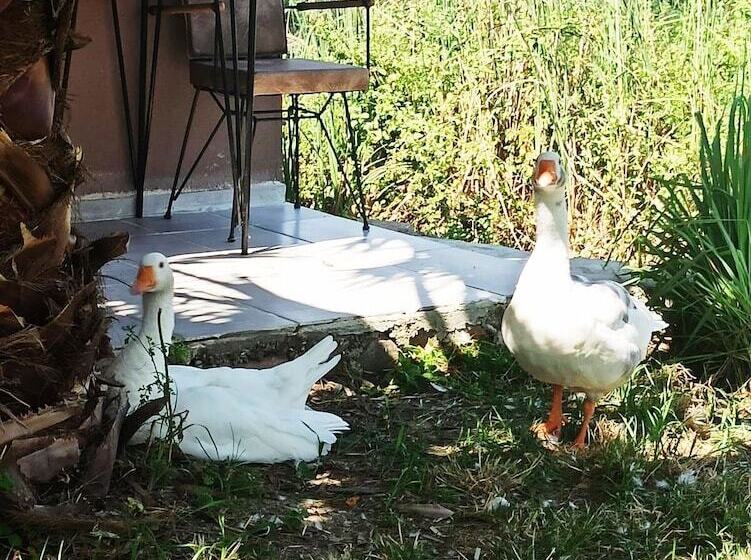 فندق Daidala Life