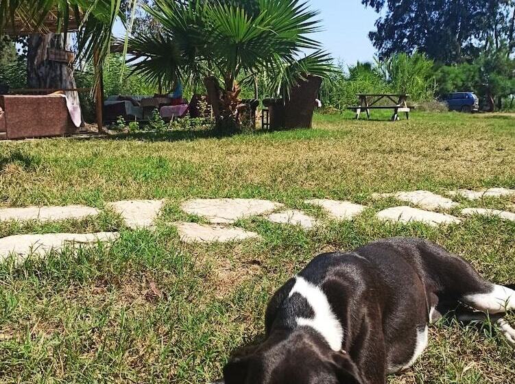 فندق Daidala Life