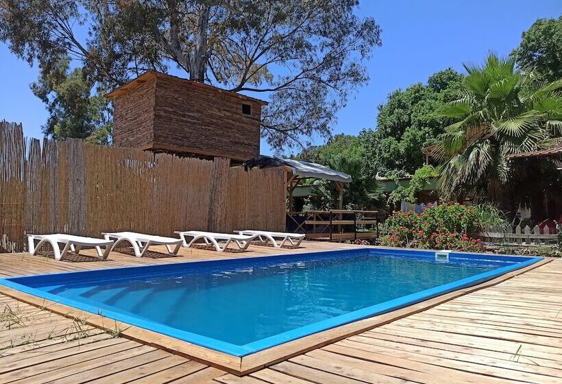 فندق Daidala Life