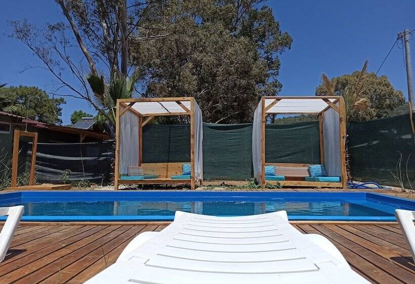 فندق Daidala Life