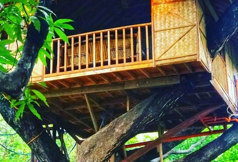 בית מלון כפרי Pirates Diving Resort