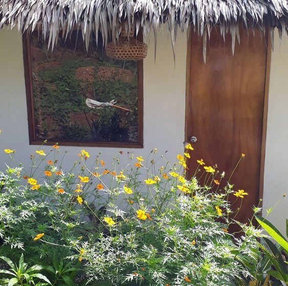 בית מלון כפרי Pirates Diving Resort