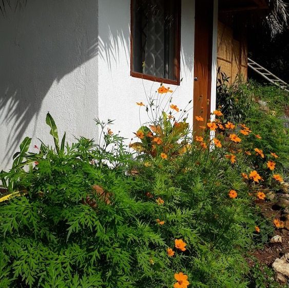 בית מלון כפרי Pirates Diving Resort