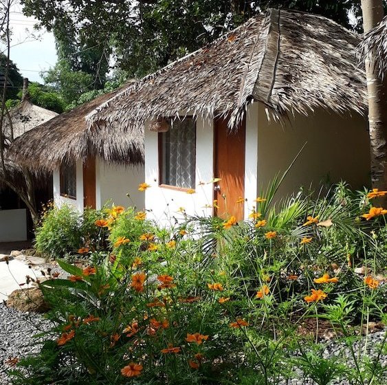 בית מלון כפרי Pirates Diving Resort