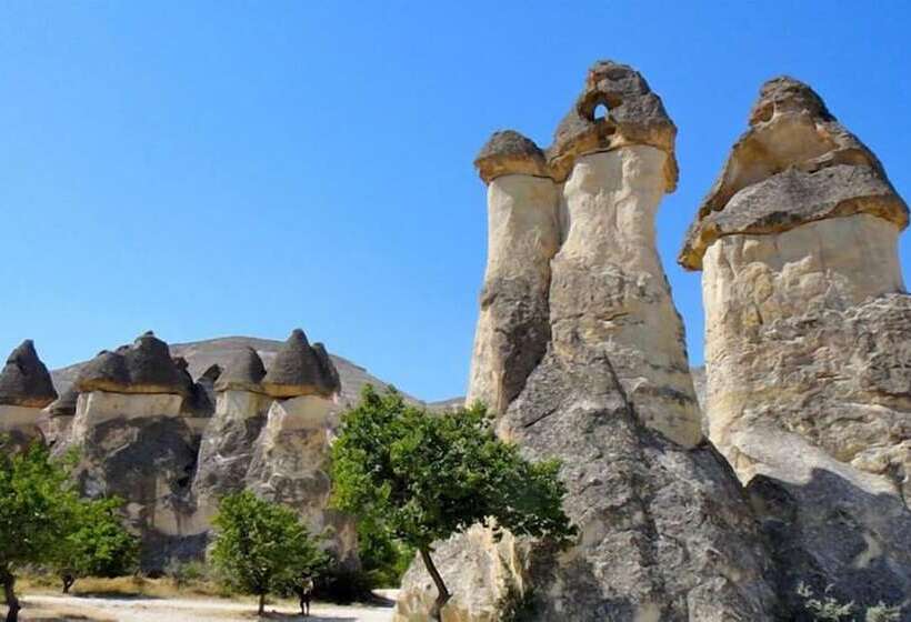 فندق Aza Cave Cappadocia Adult