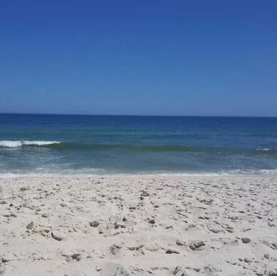 ホテル Pousada Algas Marinas