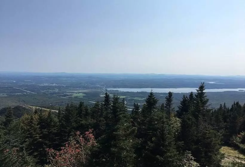 ベッドアンドブレックファースト La Maison De Ville Bed & Bistro