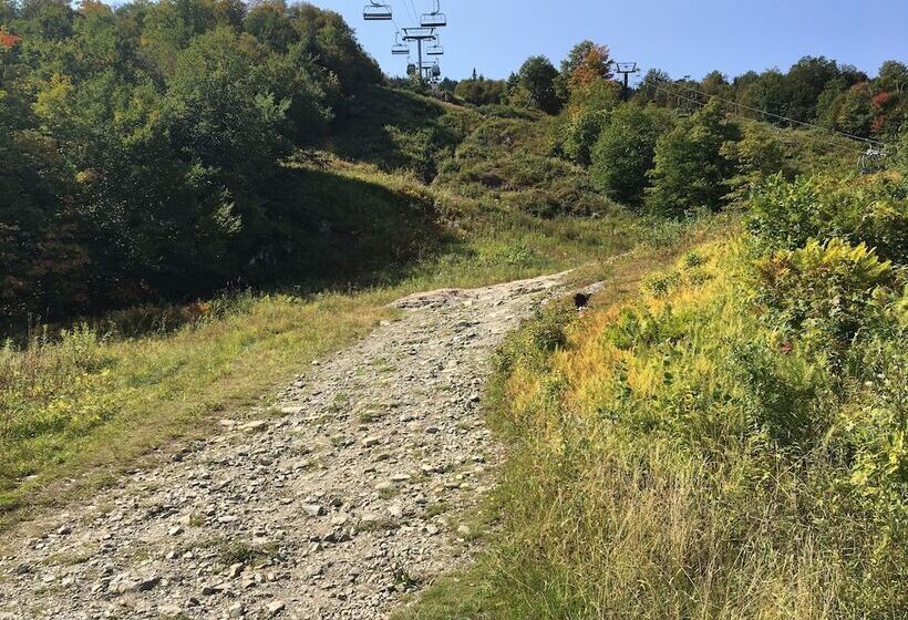 住宿加早餐  La Maison De Ville   Bed & Bistro