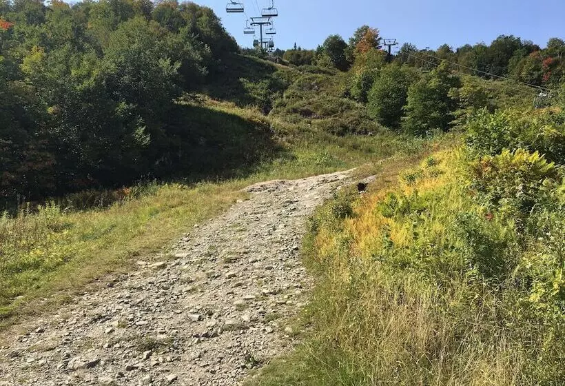 ベッドアンドブレックファースト La Maison De Ville Bed & Bistro