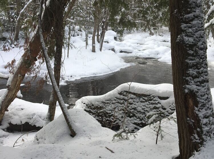 住宿加早餐  La Maison De Ville   Bed & Bistro