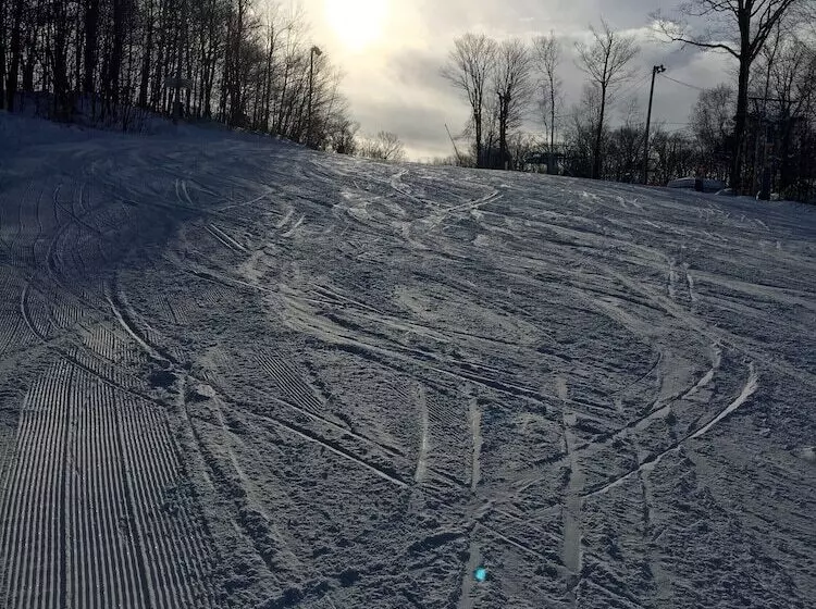 ベッドアンドブレックファースト La Maison De Ville Bed & Bistro