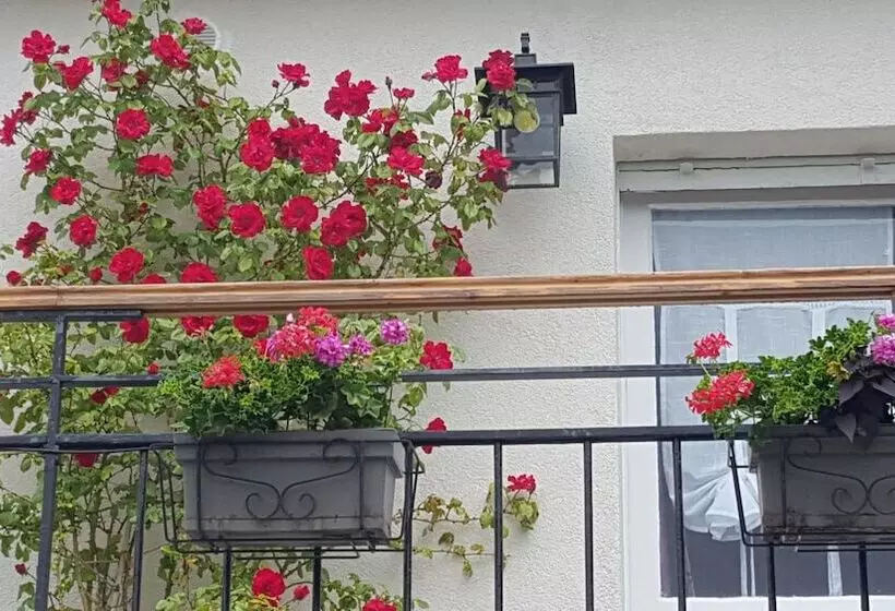 Majatalo Les Iris Chambres D’hôte