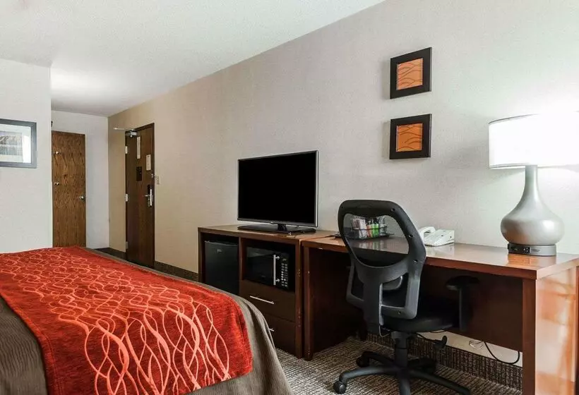 Отель Comfort Inn Denver East
