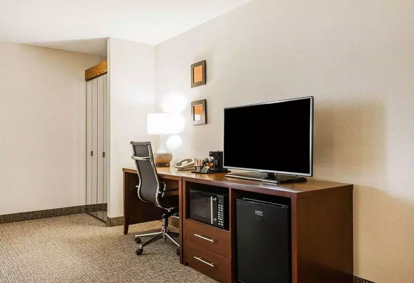 Отель Comfort Inn Denver East