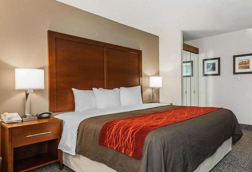 فندق Comfort Inn Denver East