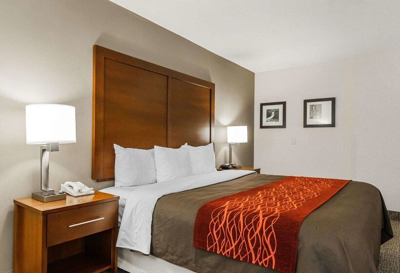 فندق Comfort Inn Denver East