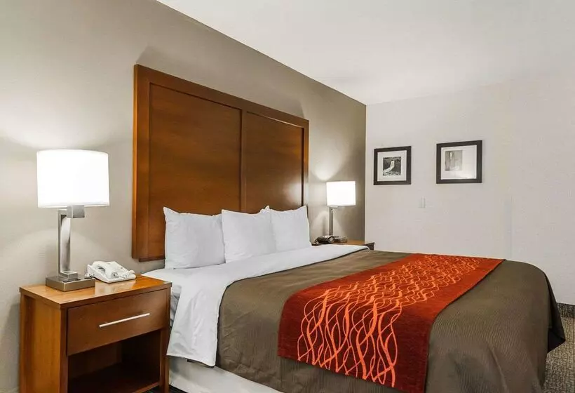 Отель Comfort Inn Denver East